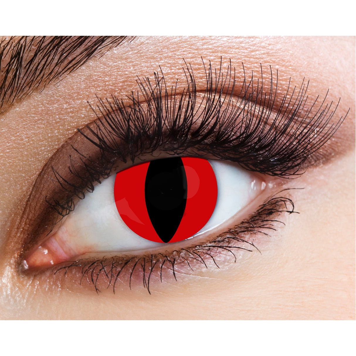 One Day Halloween Contact Lenses - Red Cat