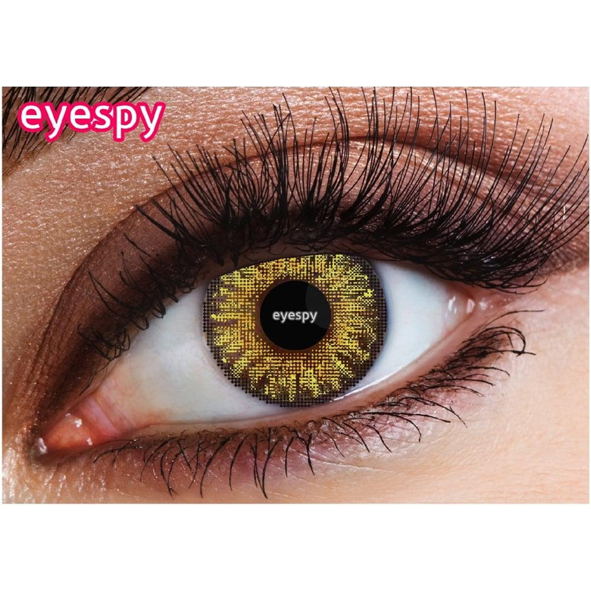 Natural Contact Lenses - Hazel 3 Tone = 1 Month Wear