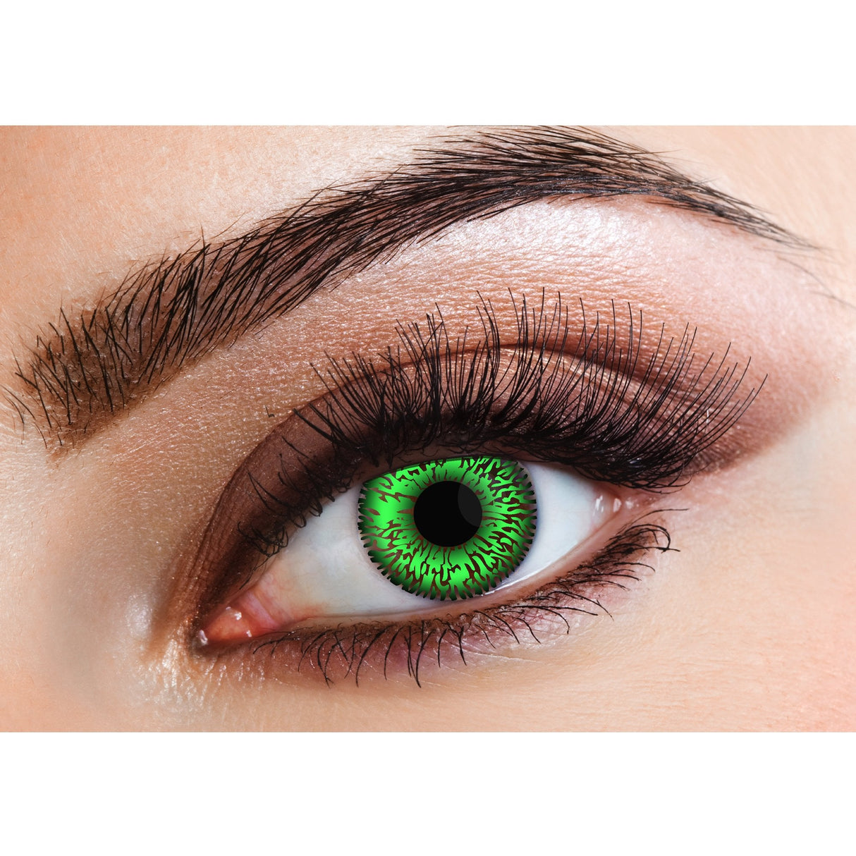 Green - Natural Contact Lenses - (Two Tone) 14 Day Wear