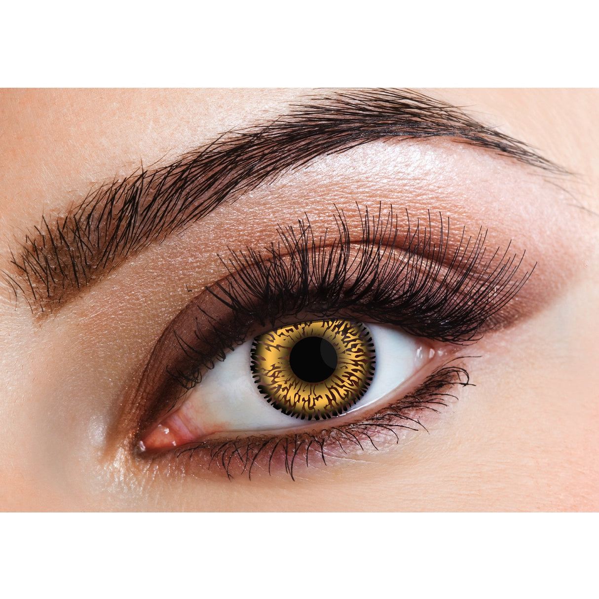 Hazel - Natural Contact Lenses - (Two Tone) 14 Day Wear