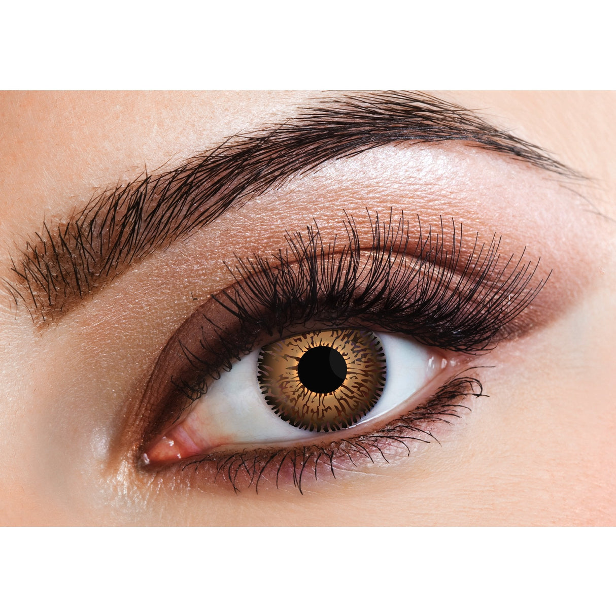 Chocolate Brown - Natural Contact Lenses  (Three Tone) 3 Month Wear