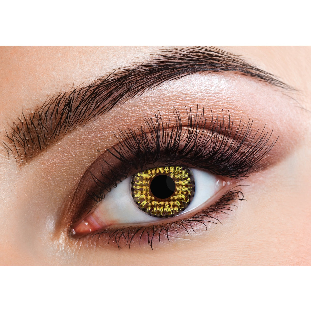 Pure Hazel - Natural Contact Lenses (Three Tone) 3 Month Wear