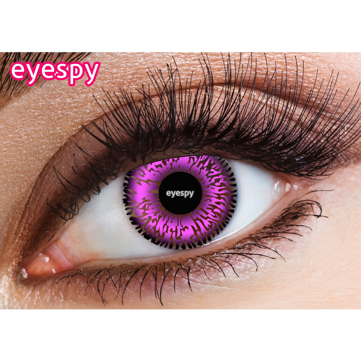 Natural Contact Lenses - Violet 2 Tone = 1 Month