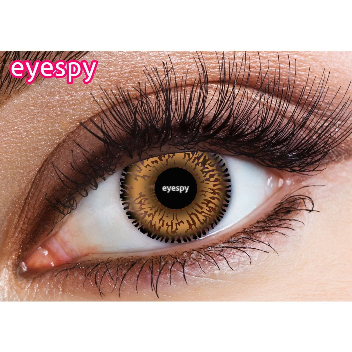 Natural Contact Lenses - Honey 2 Tone = 1 Month