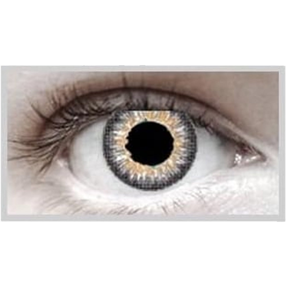 Natural Contact Lenses - Grey 1 Day