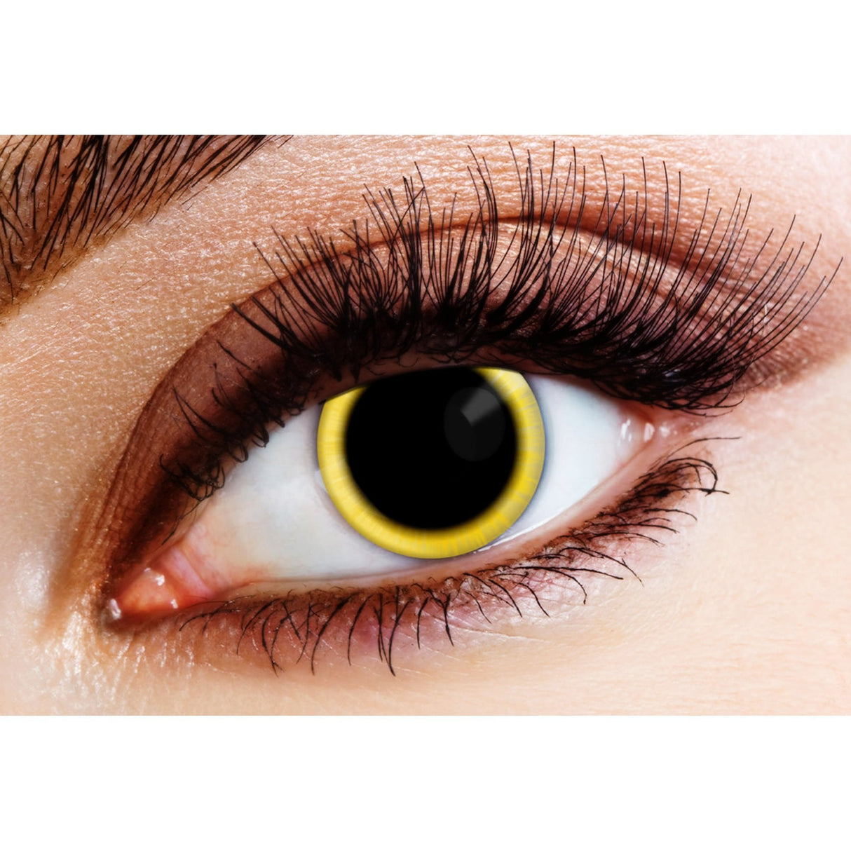 One Day Halloween Contact Lenses - Eclipse