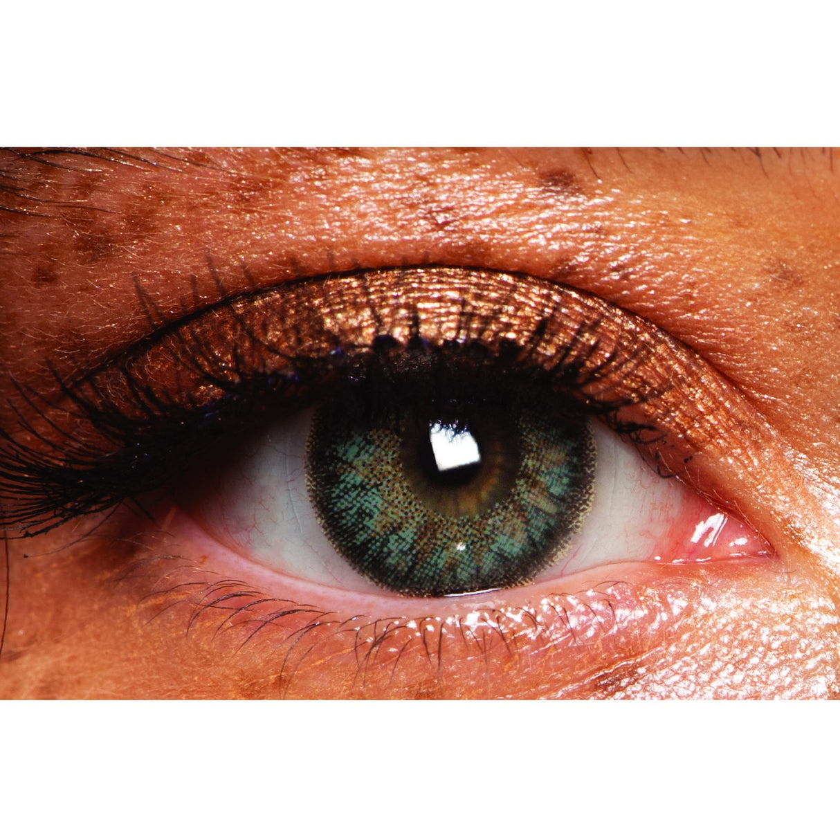 Sherwood Forest - Coloured Contact Lenses - (3 Months Wear)