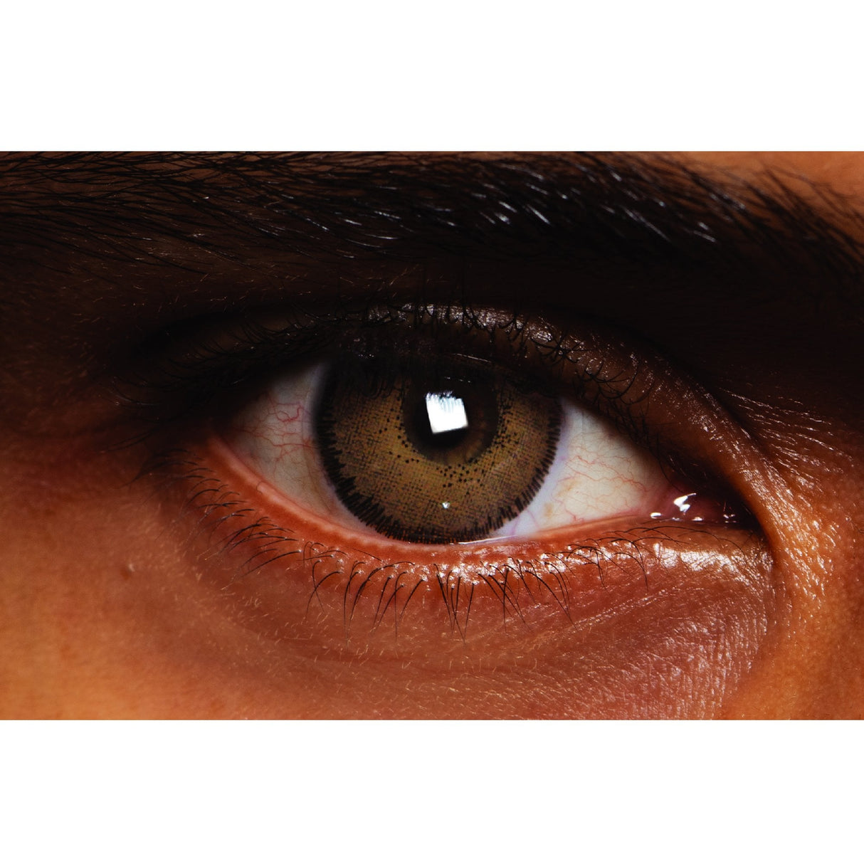 English Oak - Coloured Contact Lenses - (3 Months Wear)