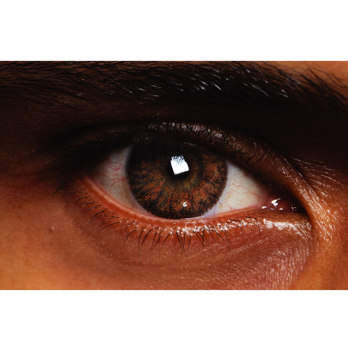 Auburn - Coloured Contact Lenses - (12 Months Wear)