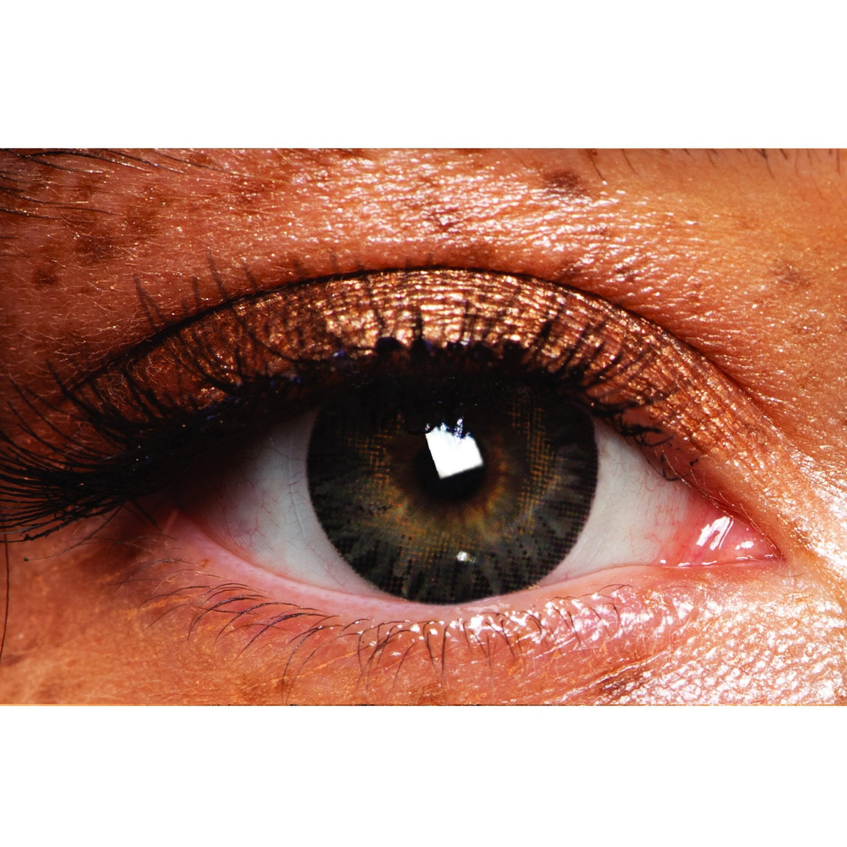 Forest Green - Coloured Contact Lenses - 3 Month Use