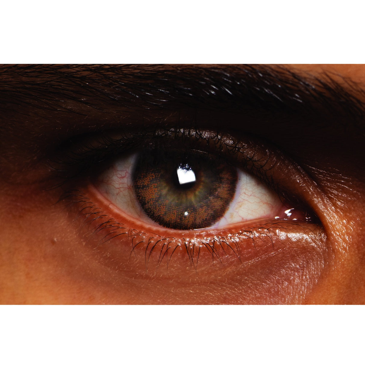 Kensington Cream Natural Coloured Contact Lenses Naturalz - 1 Day Wear