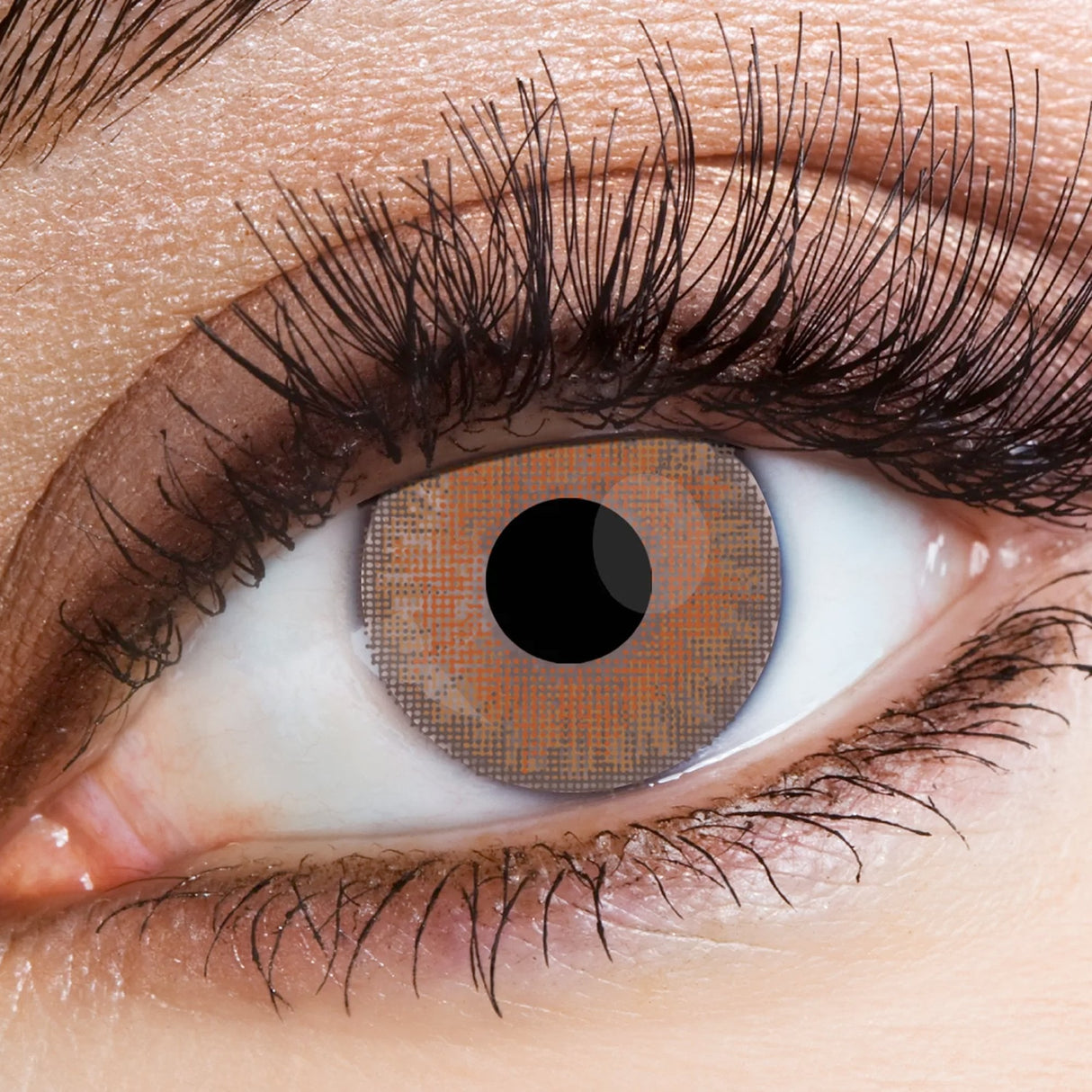 Natural Contact Lenses - Hazel 3 Tone - 1 Month