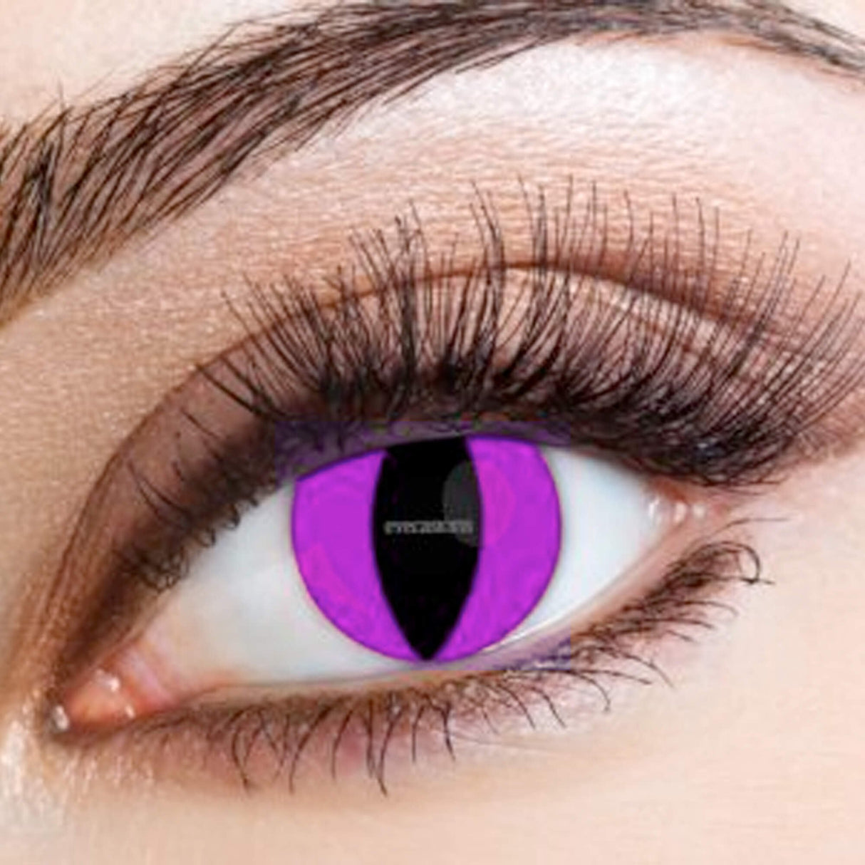 One Day Halloween Contact Lenses - Lizard Purple