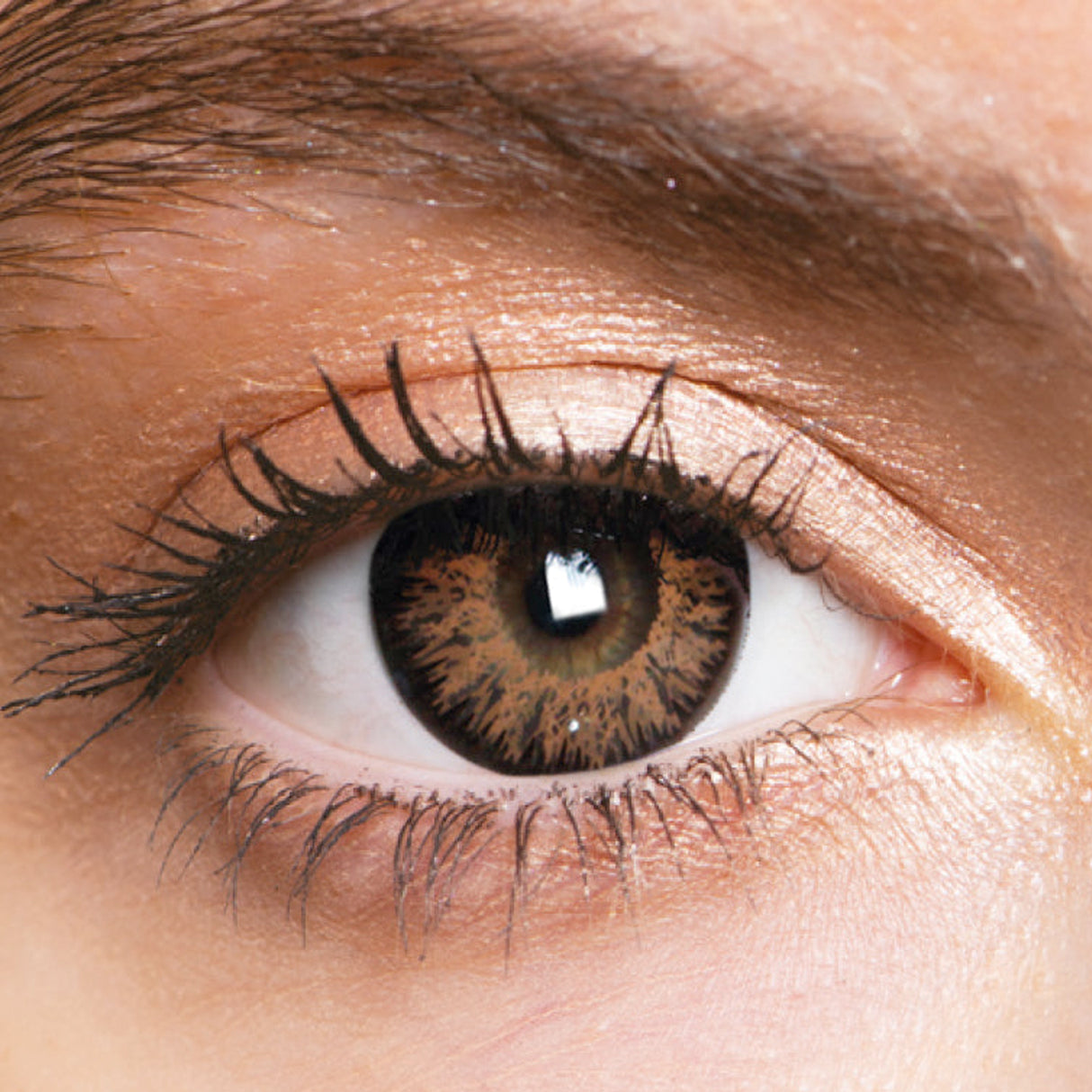 Hazel Brown Natural Coloured Contact Lenses Intense - 1 Month Wear