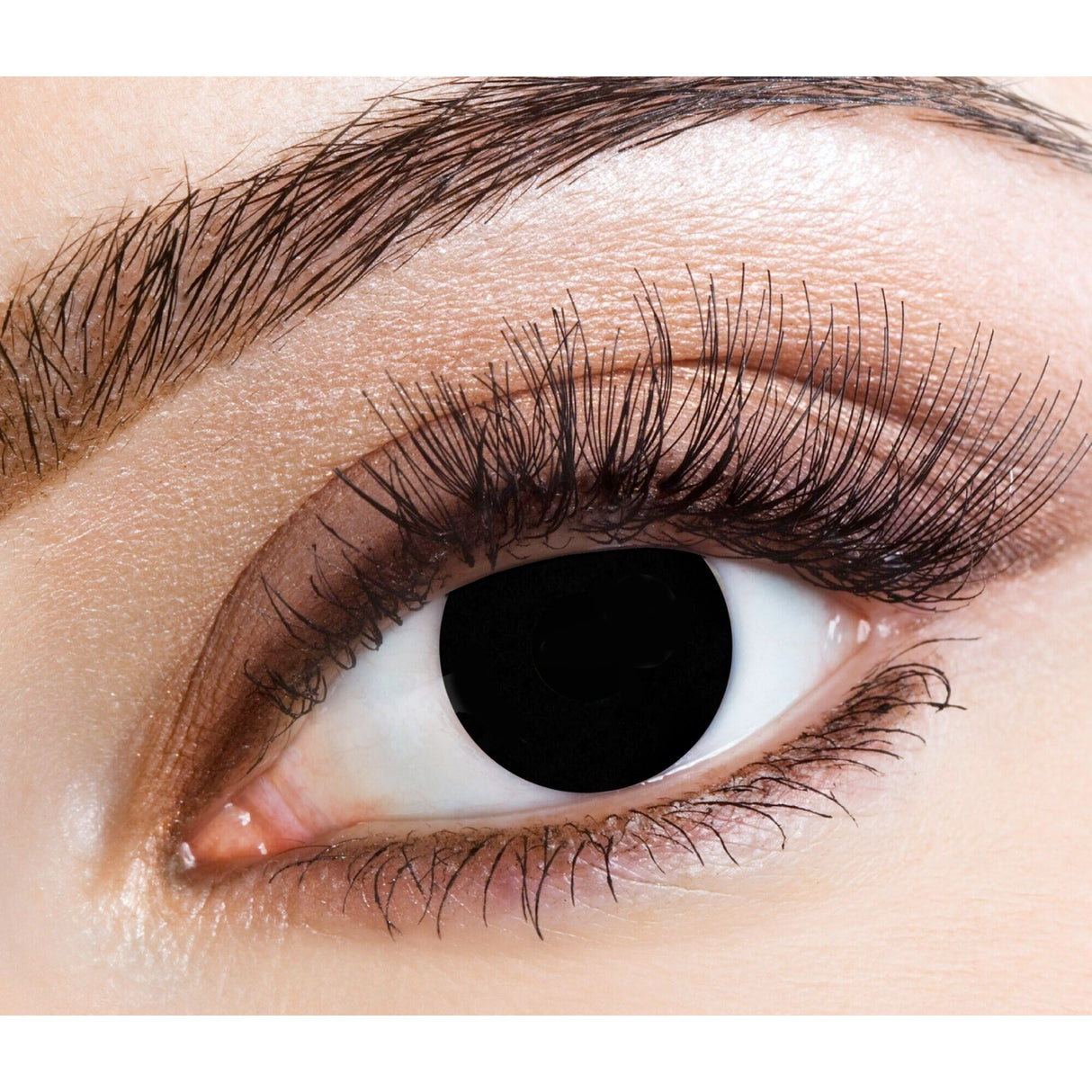 One Day Halloween Contact Lenses - Black Magic