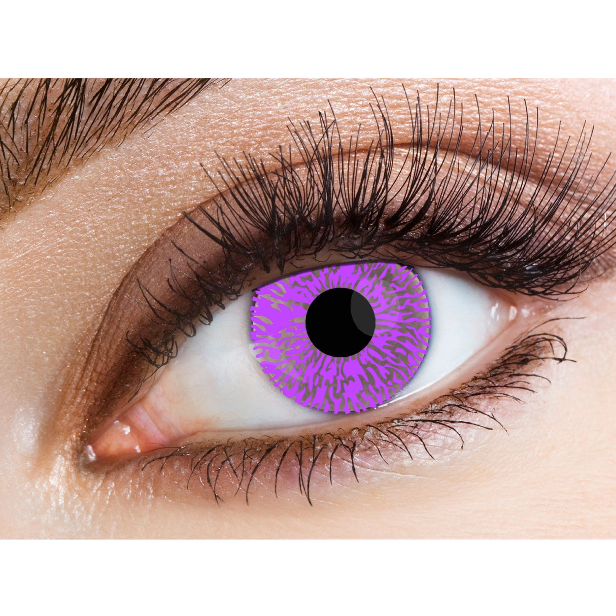 One Day Halloween Contact Lenses - Violet Tint
