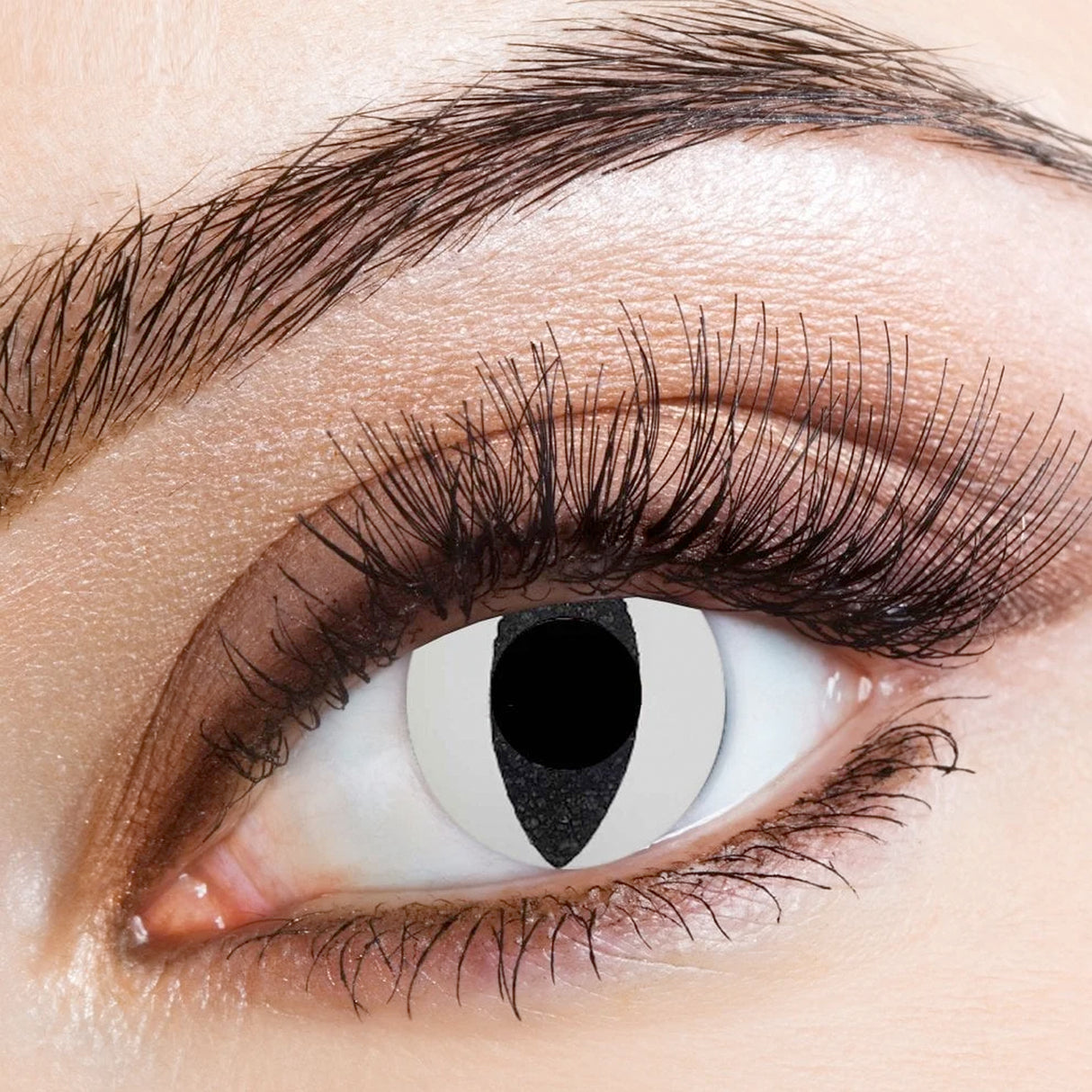 One Day Halloween Contact Lenses - White Cat