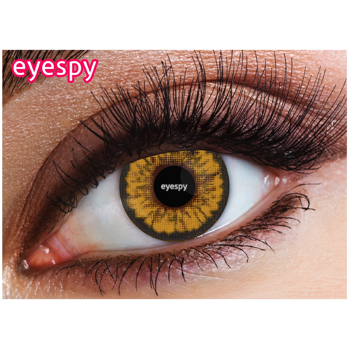 Natural Contact Lenses - Brown  2 Tone = 1 Month Wear
