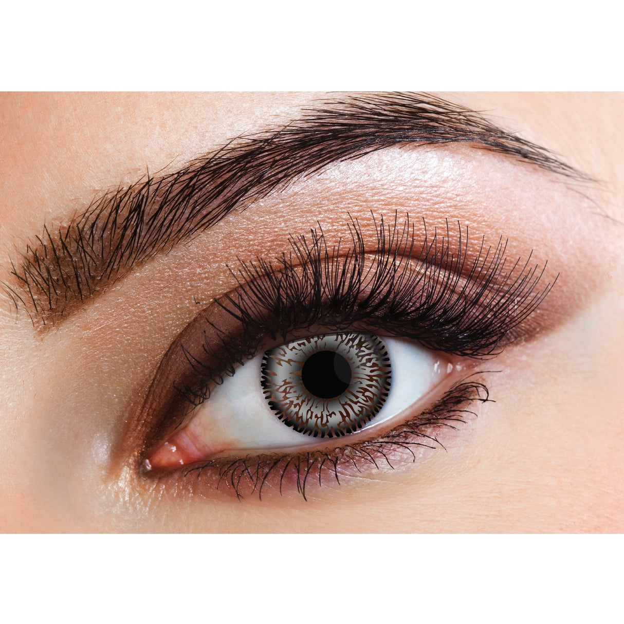Grey - Natural Contact Lenses - (Two Tone) 14 Day Wear