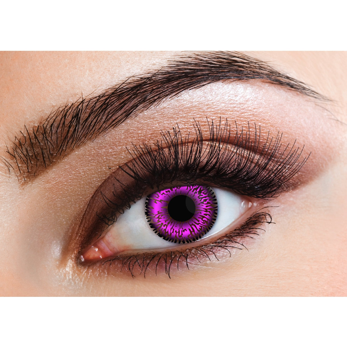 Violet - Natural Contact Lenses - (Two Tone) 14 Day Wear