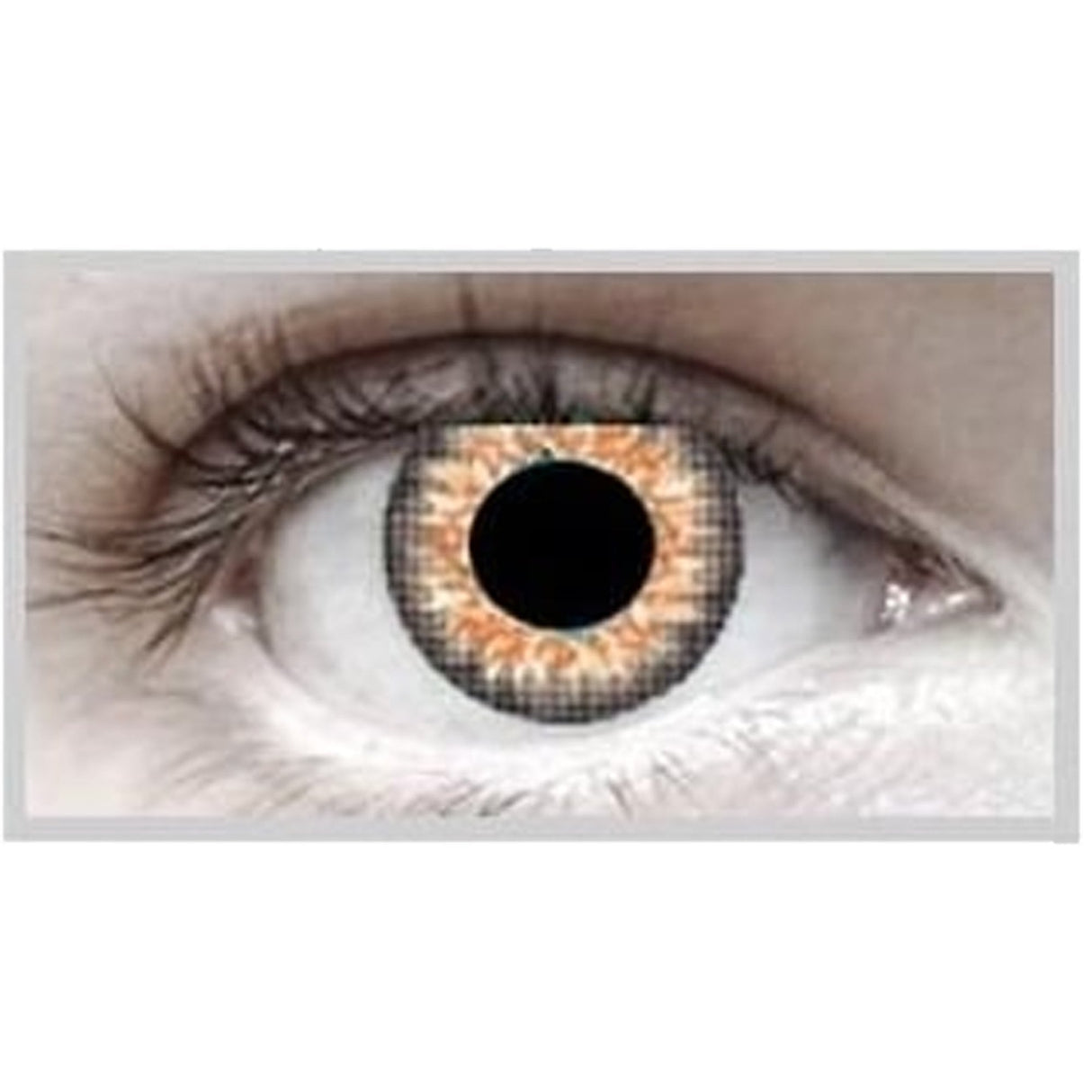 Natural Contact Lenses - Hazel 1 Day