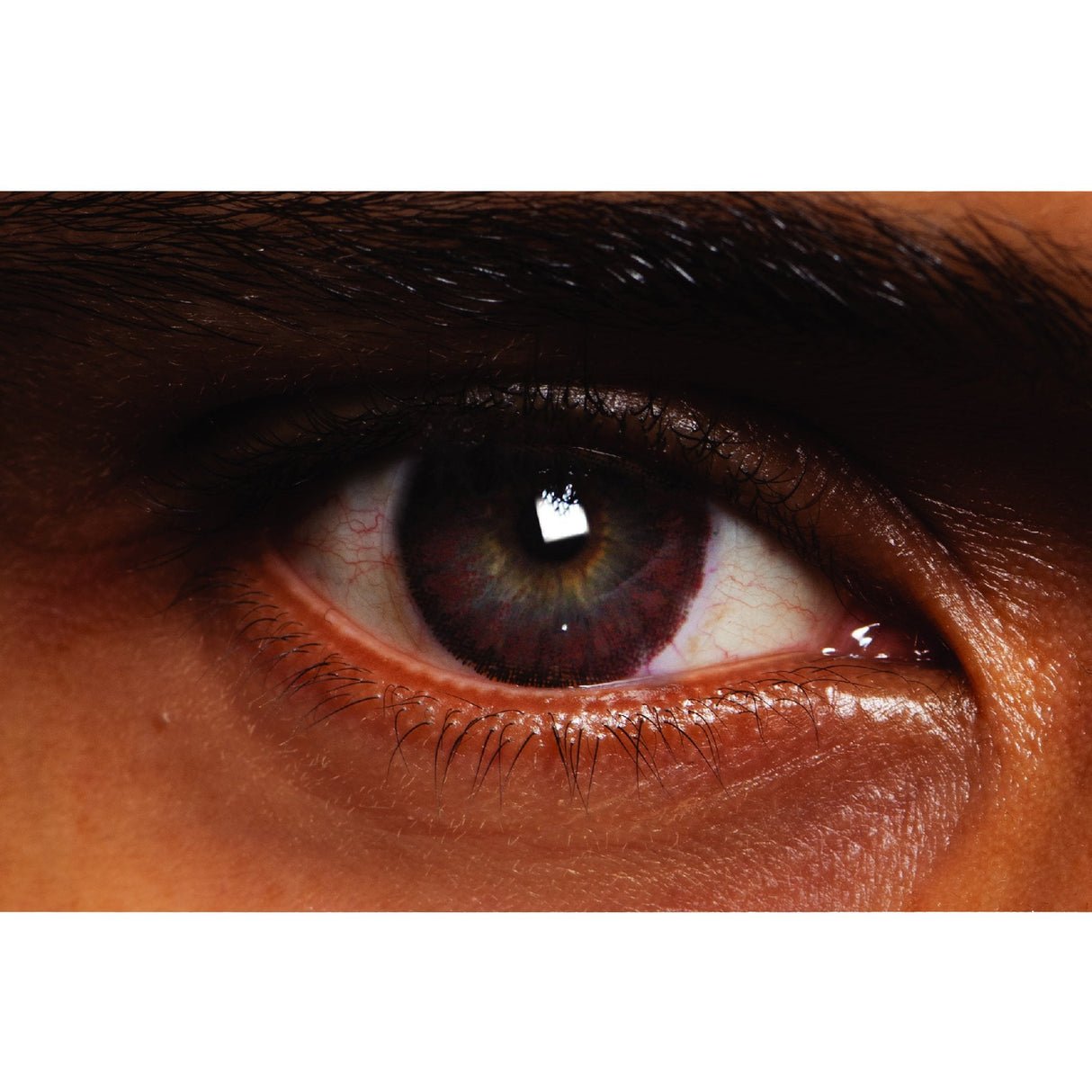 Chocolate Chai Natural Coloured Contact Lenses Naturalz - 1 Month Wear