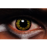 Golden Vampire Halloween Contact Lenses - 1 Day