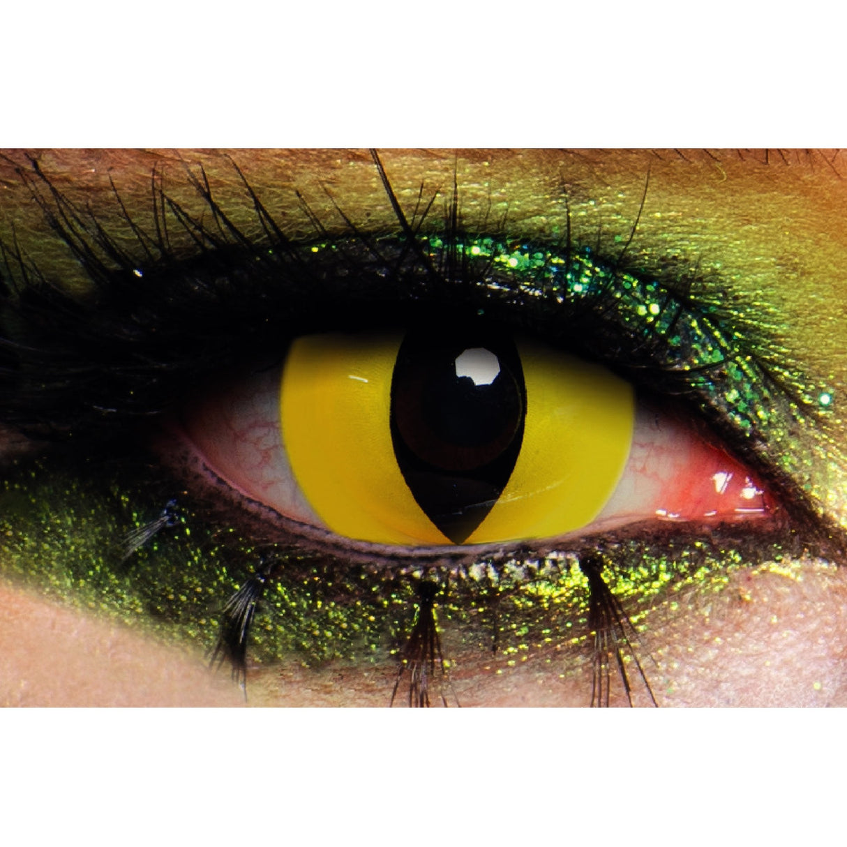 Fancy Dress Contact Lenses - Wild Cat - (1 Day Wear)