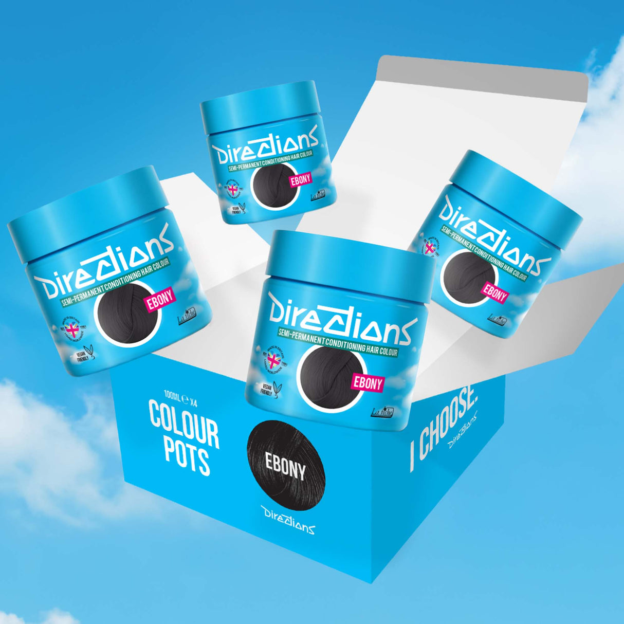 Directions Ebony Semi-Permanent Conditioning Hair Dye (4 x 100ml)