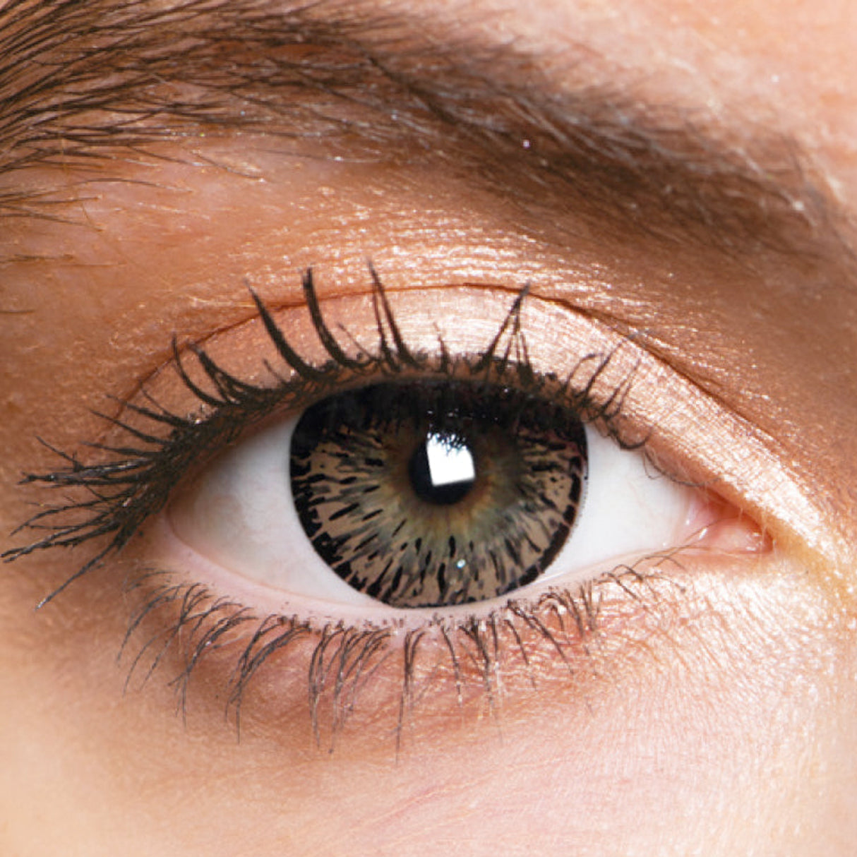 Forest Hazel Natural Coloured Contact Lenses Intense - 1 Year Wear