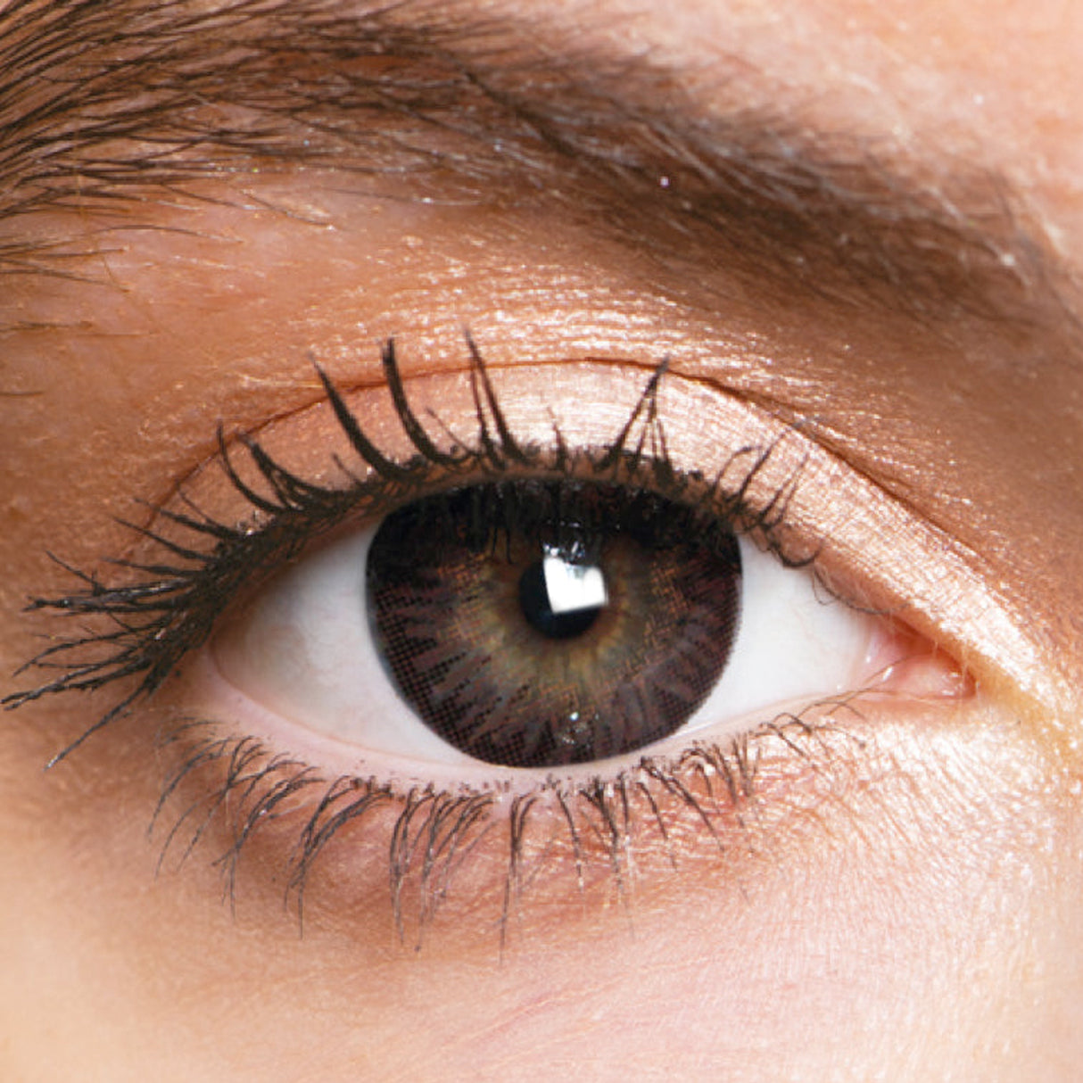 Golden Brown Natural Coloured Contact Lenses Natural Blendz - 1 Year Wear