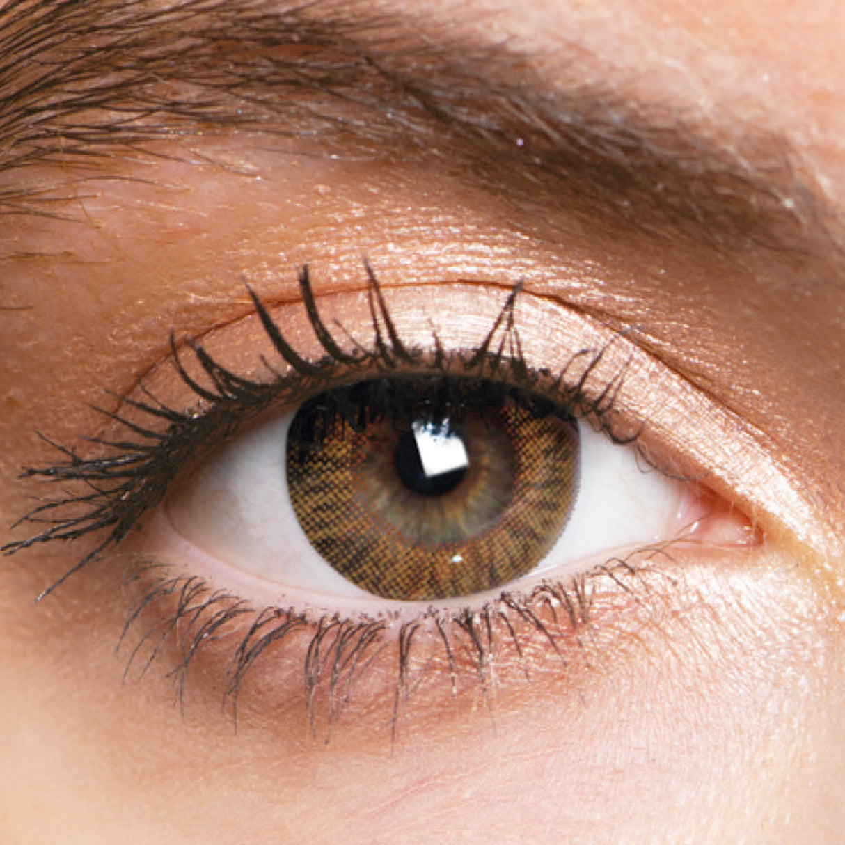 Hazel Natural Coloured Contact Lenses Blendz - 1 Year Wear