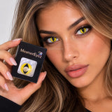 Wild Cat Halloween Contact Lenses - 1 Day Wear