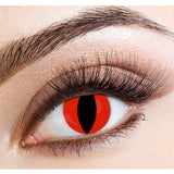One Day Halloween Contact Lenses - Red Cat