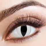 One Day Halloween Contact Lenses - White Cat
